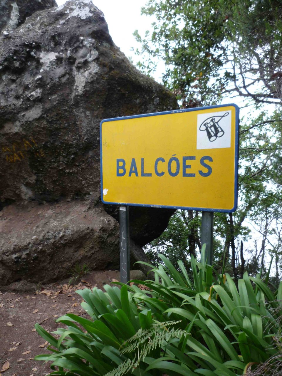 Balcoes
