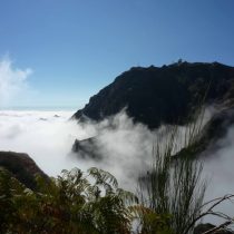 Madeira